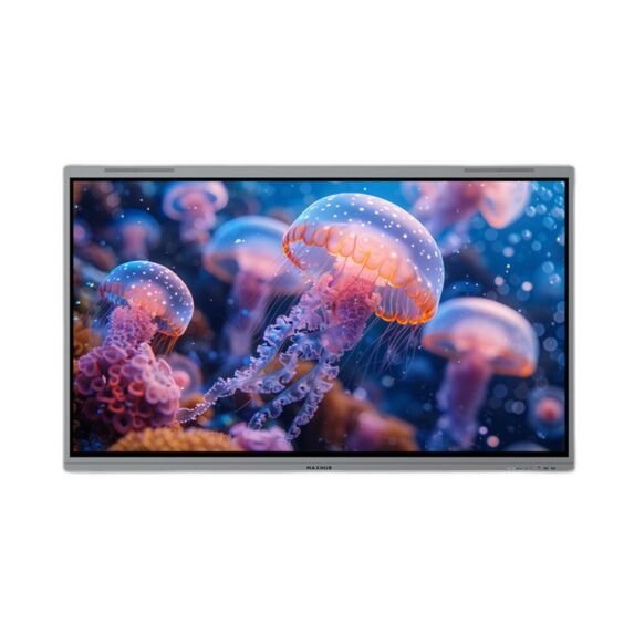 [MAXHUB] IFP 65'' E6530 8G/128G, EDLA, Android 14